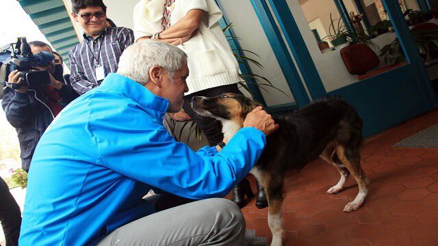 CulturaenBta's tweet photo. Bogotá es la primera ciudad de América Latina en contar con un instituto para proteger a los animales. #EstamosHaciendo https://t.co/l2EMeoLpqk
