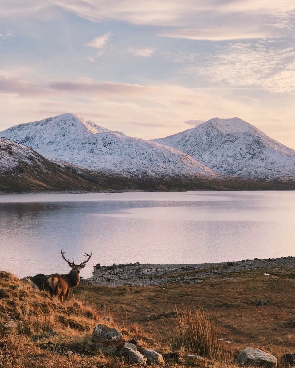 Amazing end to an amazing day on the hills! Don't leave yet winter.....you barely got started! 😩 #girlswhohike <a href="/TisoOnline/">Tiso</a> #scotland