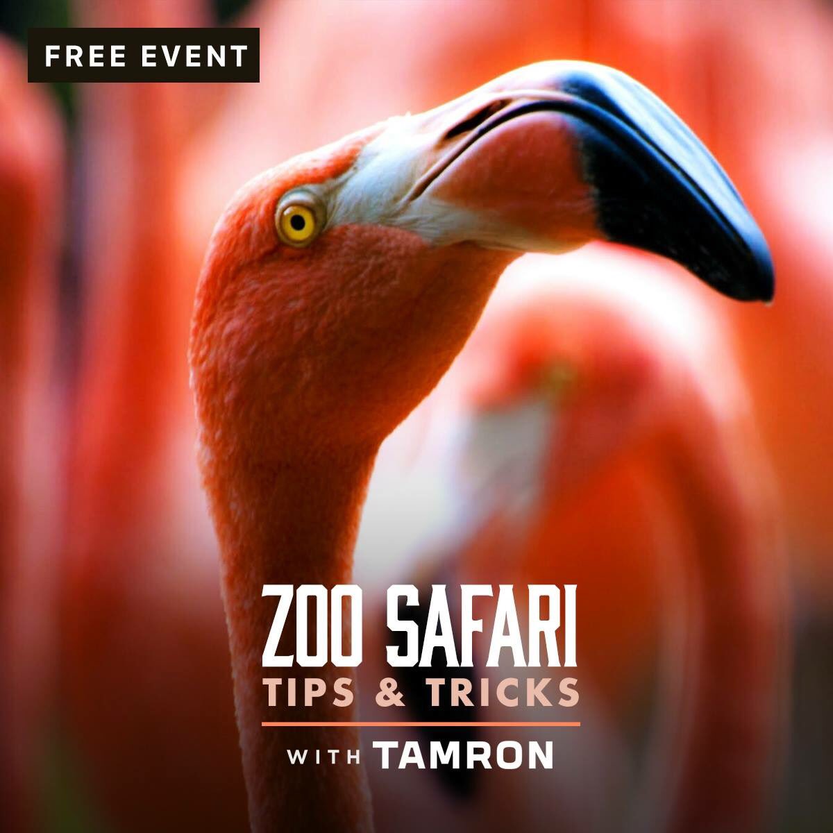 cameraexchange's tweet photo. #Free events happening at Camera X next week!

Visit https://t.co/4dhs0Fy4ZB and hit the "classes/events" tab for details! https://t.co/PxfUamdMk8