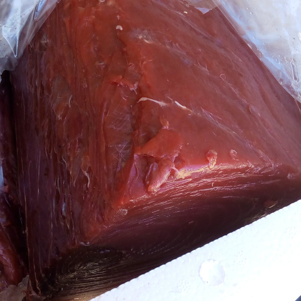 Rojo que te quiero Rojo......#DELAMAR