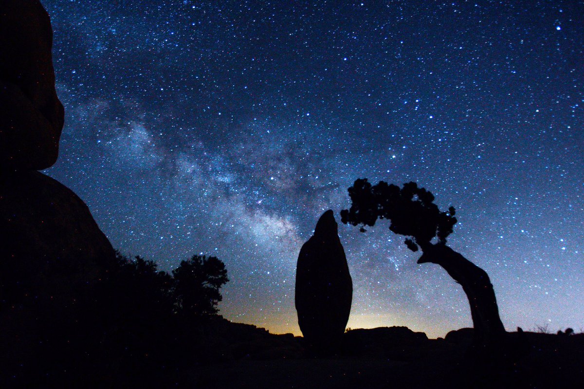 raulroa's tweet photo. While you were sleeping, I was at @JoshuaTreeNPS #milkyway #startrails #mydayinla #Astrophotography #ArchRock #BalancedRock #LoneJuniper https://t.co/1h0rS2JI77