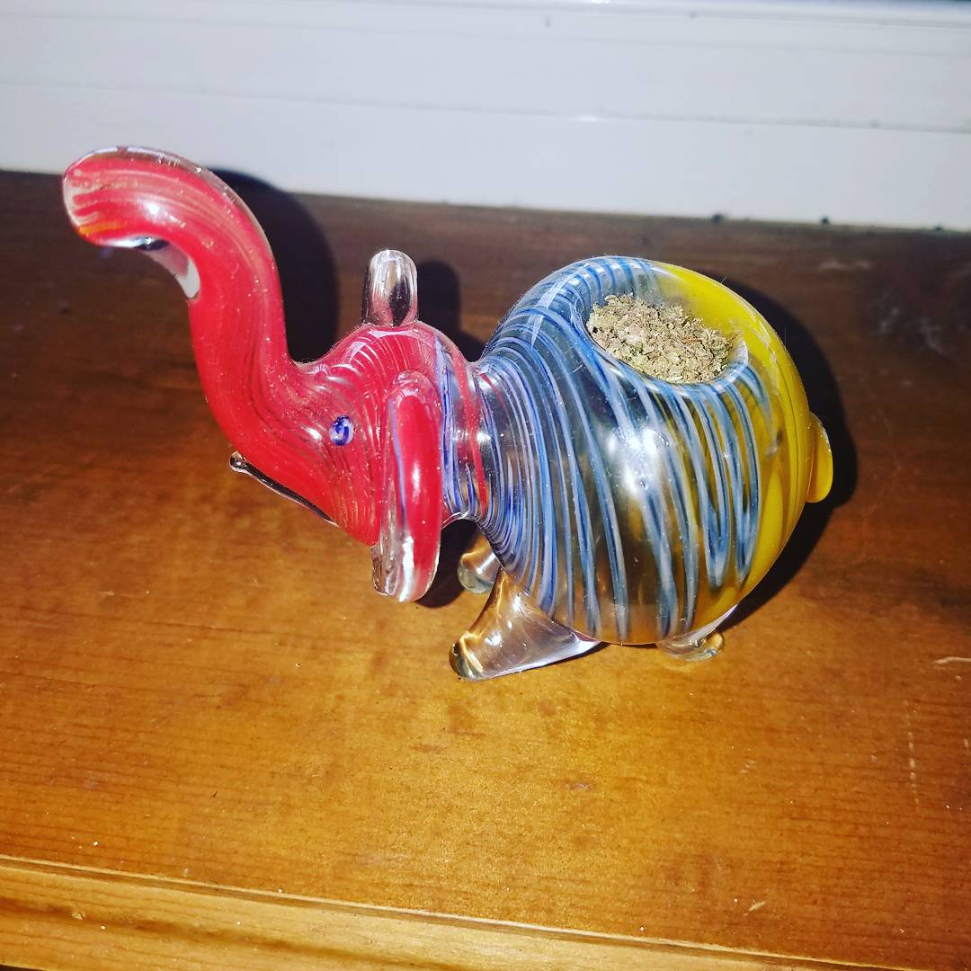 NugzMcJugz's tweet photo. Quality time with Ellie. #elephantpipe #420 #cannibis #ganja #weed #Maryjane #marijuana #smokeup #stonergirls #stonerchicks #NugzMcjugz https://t.co/LloYByR1oW