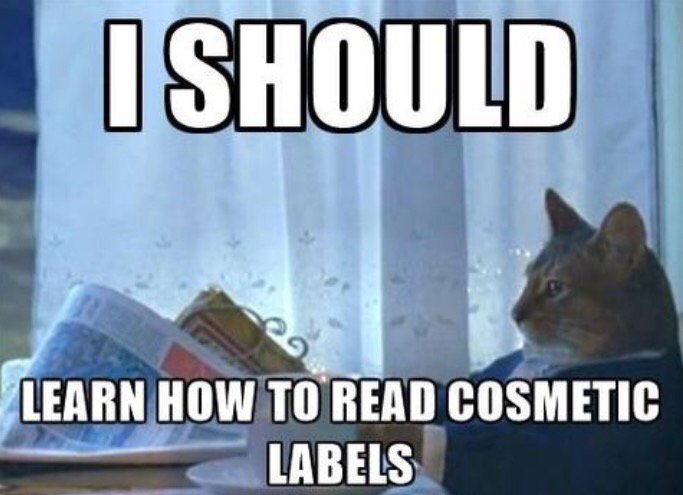 Tavi Tree tweet media