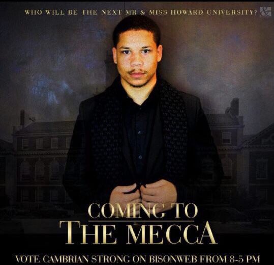 FORMATION tweet media