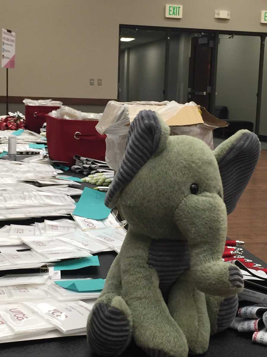 UA_ESP's tweet photo. The URCA showcase is tonight! Einstein's busy getting ready https://t.co/73FNpy0ZIB