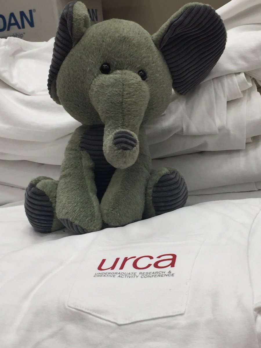 UA_ESP's tweet photo. The URCA showcase is tonight! Einstein's busy getting ready https://t.co/73FNpy0ZIB