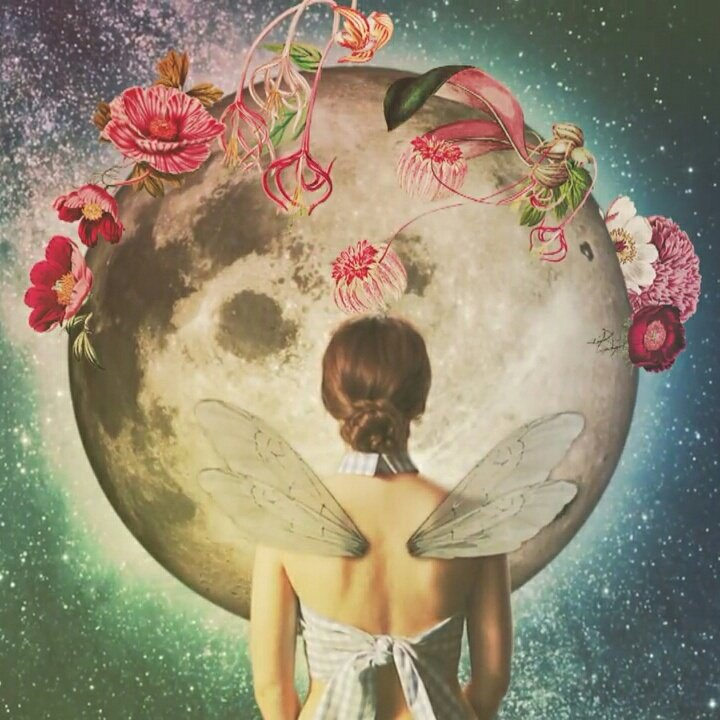 alessia_cheeks's tweet photo. #NewProfilePic @francescacheeks #UnCuoreInDue #discodoro ♡♡♡ https://t.co/bVUNlk7T8T
