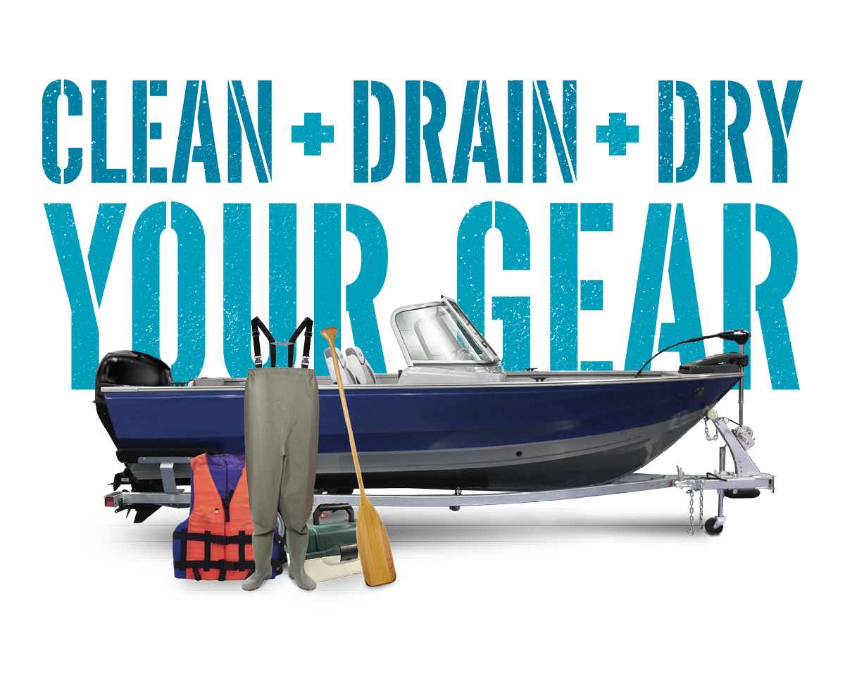 AB_Enviro's tweet photo. DYK Whirling Disease was found in the Bow River Watershed? Prevent the spread - clean drain dry your gear. https://t.co/kKFBUbkcam #ABWater https://t.co/vGNjvxGX1F