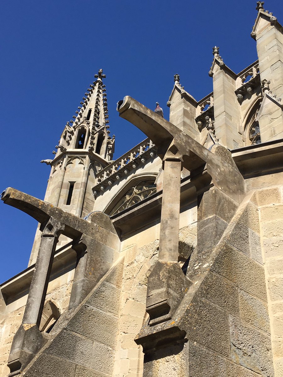 cmmonzingo's tweet photo. More Carcassonne pics #AvonTakesEurope https://t.co/nre09AOPCY