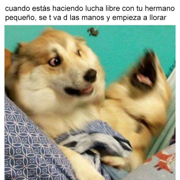 yisucrist's tweet photo. mamá soy inosente https://t.co/sGXNhKyzSh