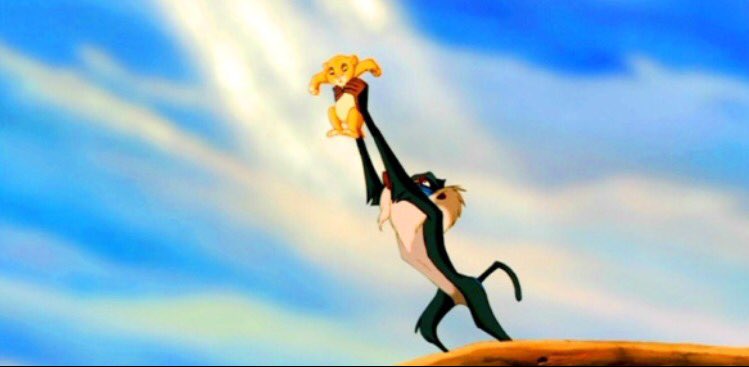 JosephMartinJr's tweet photo. @RED_TEAM2017 @whitesquad2017 Captains, meant to thnk u 4 making children feel❤️ after mus.chairs-Wife said our little guy looked like Simba https://t.co/1PIATRwlrD