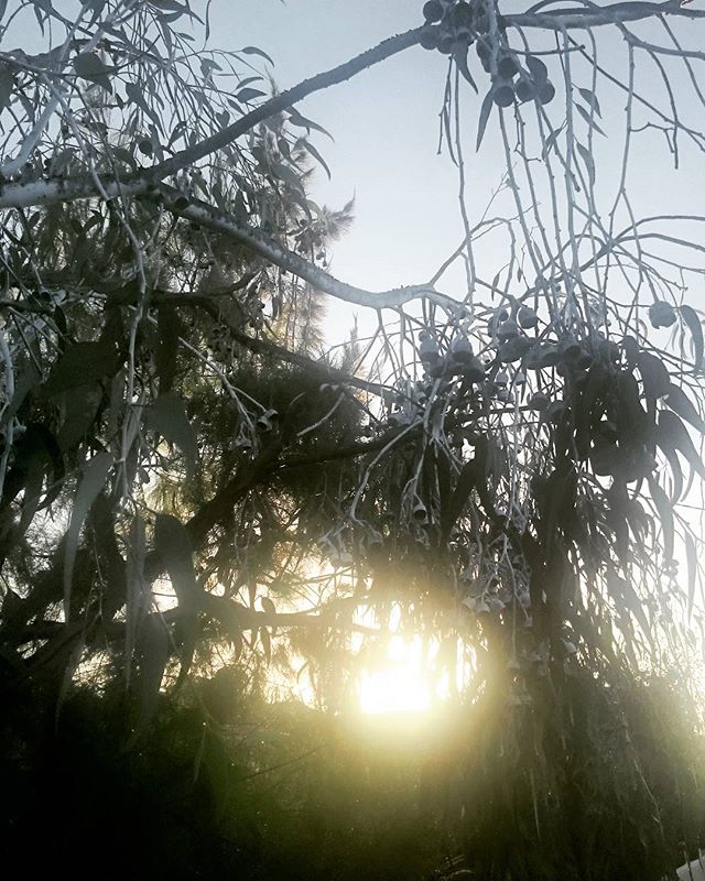 sunriserelay's tweet photo. https://t.co/3CF0aDHSSI morning! https://t.co/0YIfRqafm8