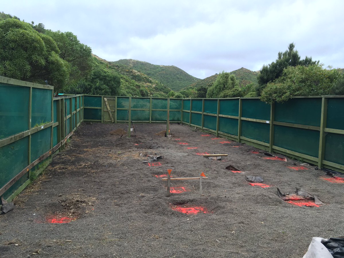 Thanks <a href="/Bunnings/">Bunnings Warehouse</a> who donated tools + materials for our new native nursery in Wellington, and sent staff from NZ and Aus to help build it!