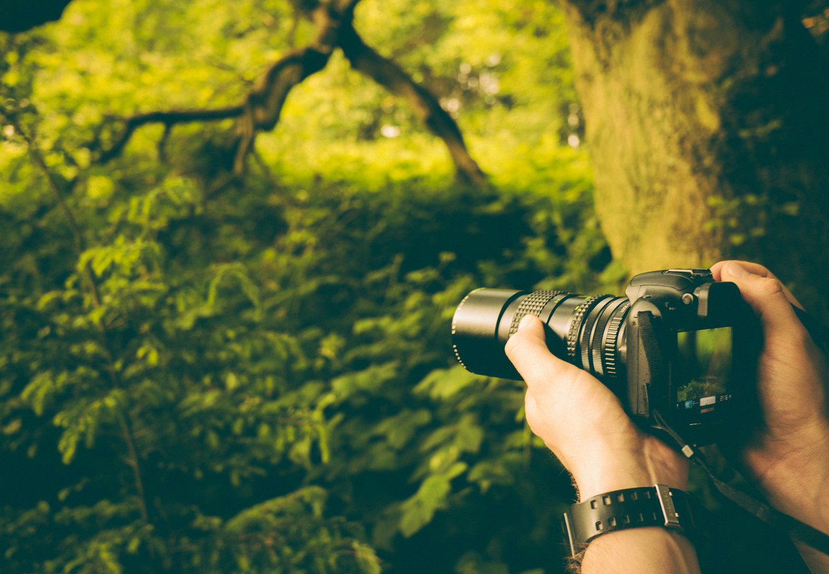 dtwtblog's tweet photo. The World Through A Lens: How do you see it? #photography #worldview #amwriting

https://t.co/VK5INpZgWb https://t.co/cbxtxieYMs