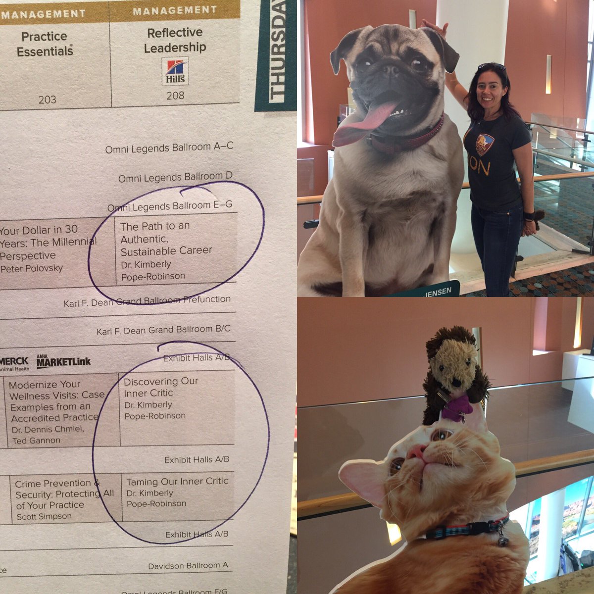 1Lifecc's tweet image. Made it to Nashville for the AAHA conference.Come join Oscar &amp;amp; the 1 Life Connected message tomorrow in room 208 A &amp;amp; B. #1lifecc #aaha2017