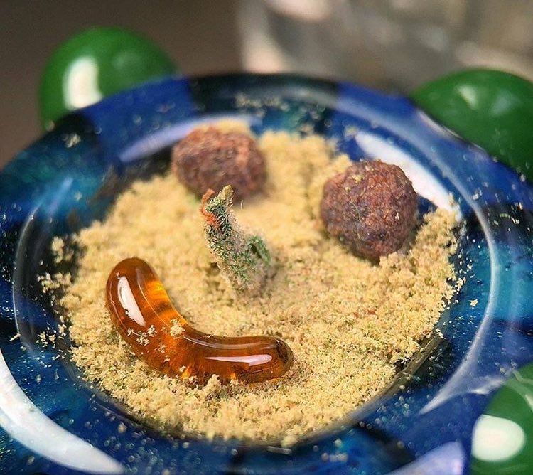 420's tweet photo. Colorado - it's 4:20 PM! Smoke a bowl! https://t.co/fxlC5ZxcnS