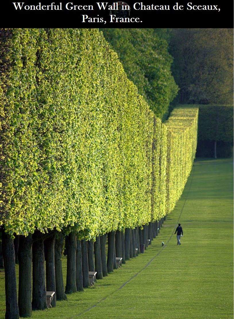 C8HyJMuVwAAhLoz.jpg:large