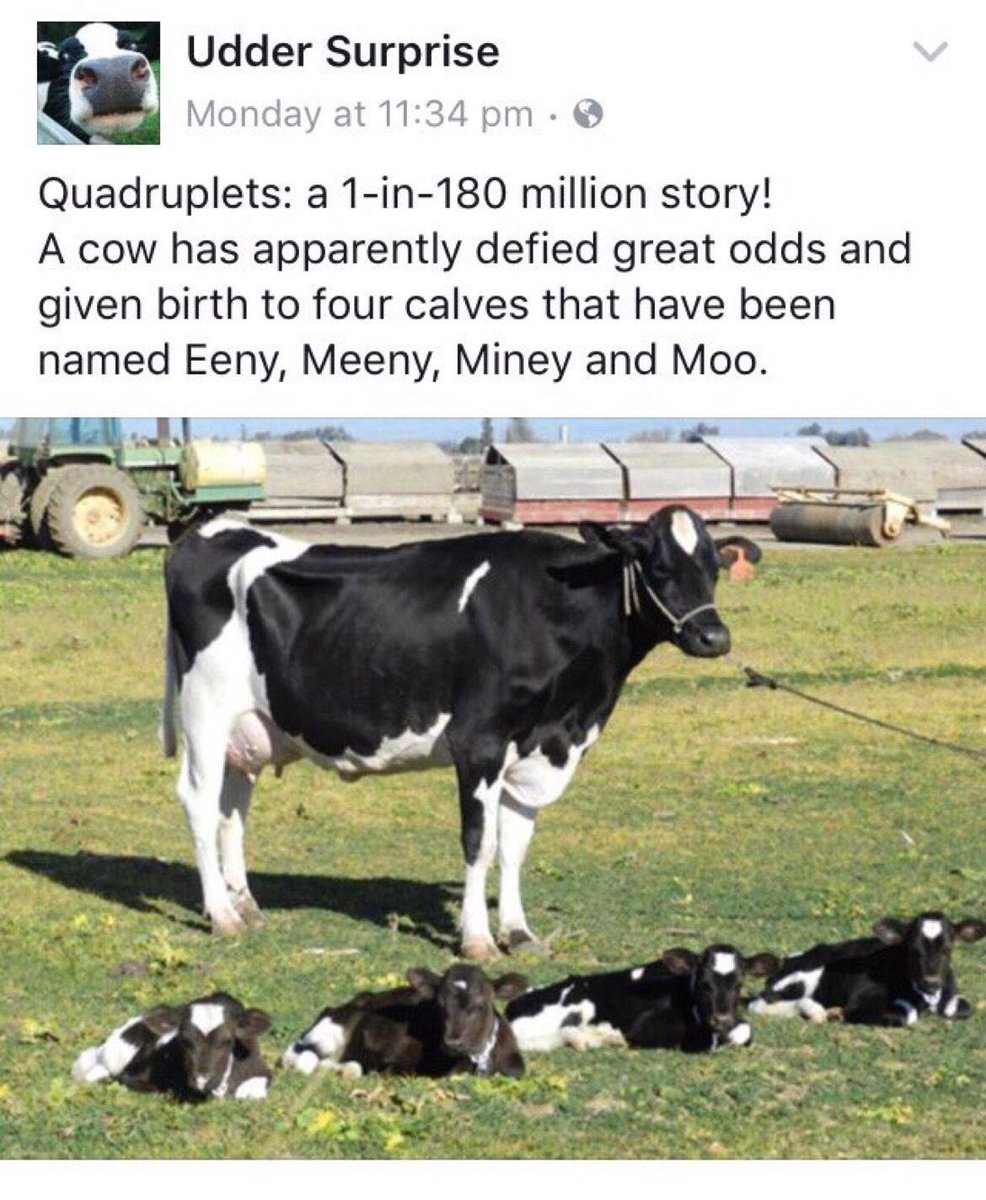 EarlDibblesJr's tweet photo. The only news I want to see https://t.co/UC5GRq3GqC