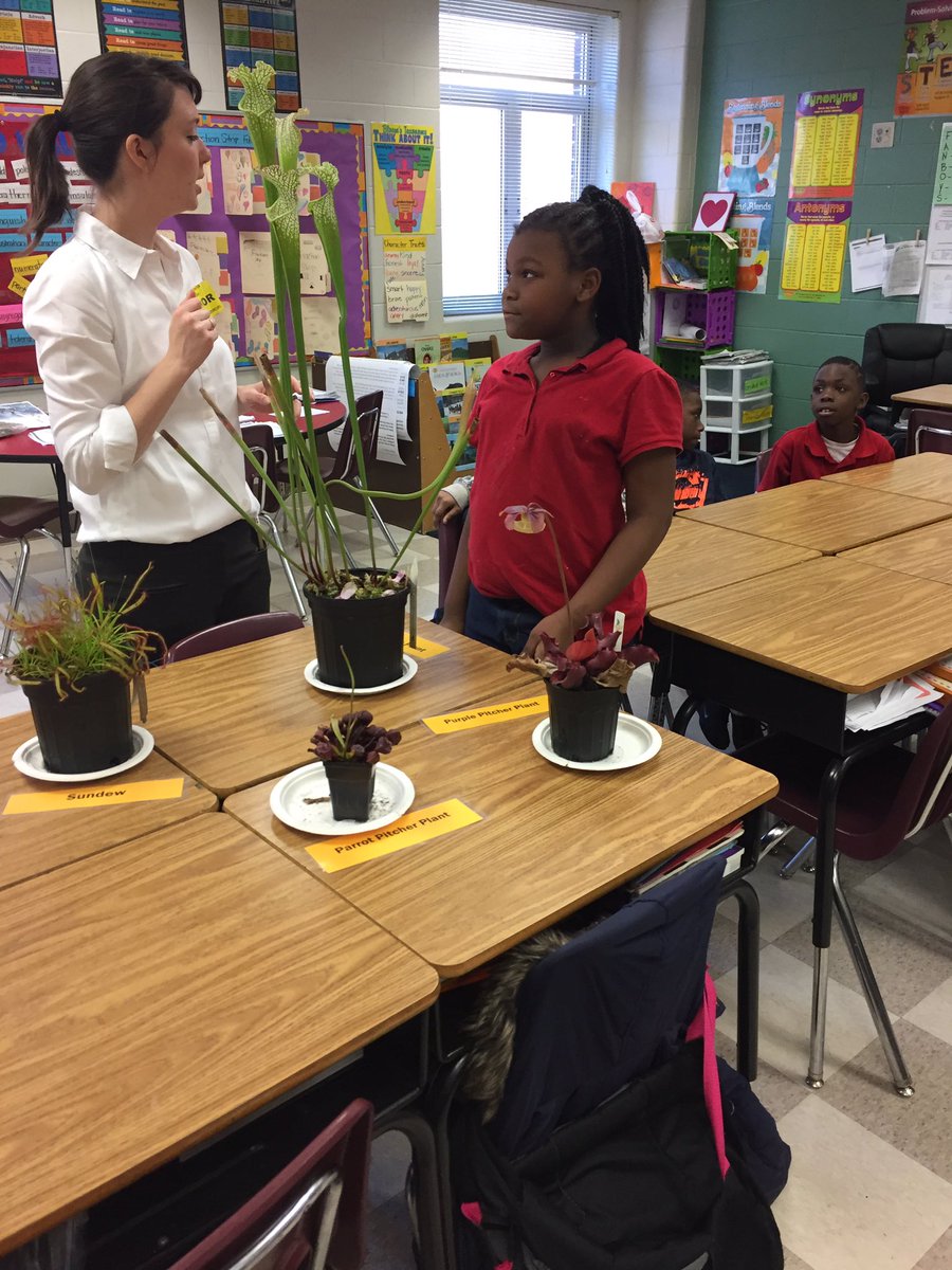 giovanni_daou's tweet photo. In class field trip with the Botanical Gardens! #handsonScience #5E's
@APSFinchEagles @ATLsuper @MiddletonAPS @DonyallD https://t.co/iphfUrIlEO