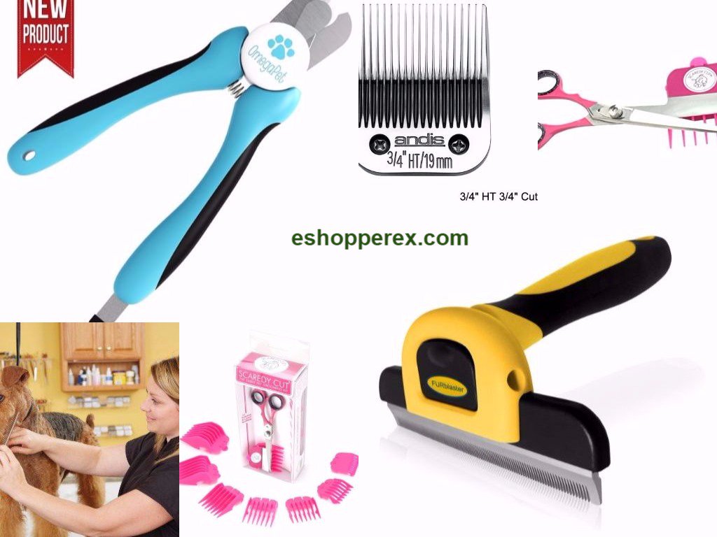 EXConnie tweet picture