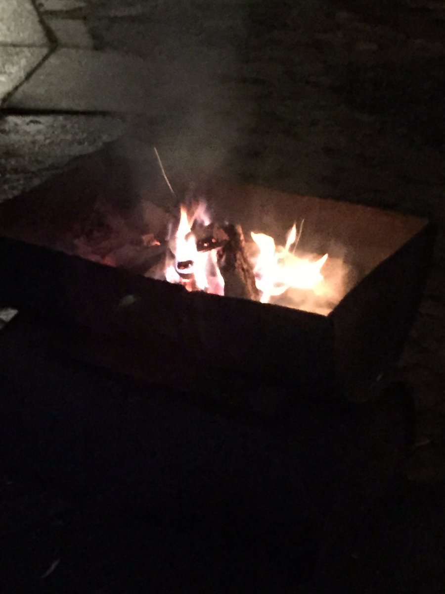 mnhippi's tweet image. This Forrest is #hot #puckup lines #hostel life