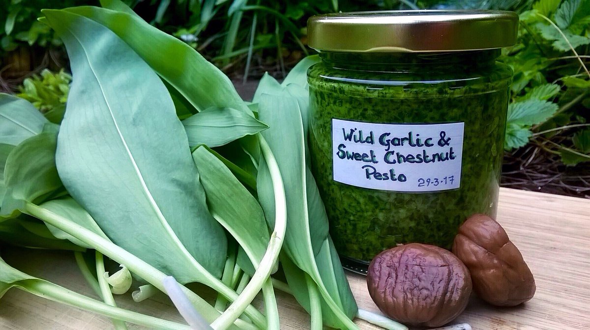 LeeeBurrows's tweet photo. Wild garlic and sweet chestnut pesto, this is yummy!! https://t.co/mjQA4opUCd