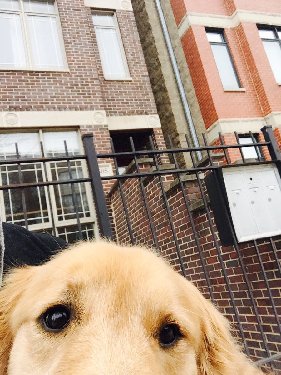 noboseolhc's tweet photo. https://t.co/GeZ7Spw6z5