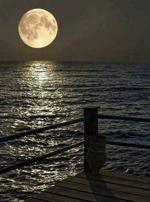 RastroDePerfume's tweet photo. @jrbetosilva2  Boa noite querido🌝💫 https://t.co/uUbqpxjD0l