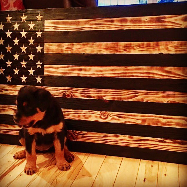 FreedomflagsUS's tweet photo. @POTUS FreedomFlagsUS would be honored to send you a wood burnt/hand carved piece of Freedom made by a veteran to be hung at the White House https://t.co/19KF9TGAAt