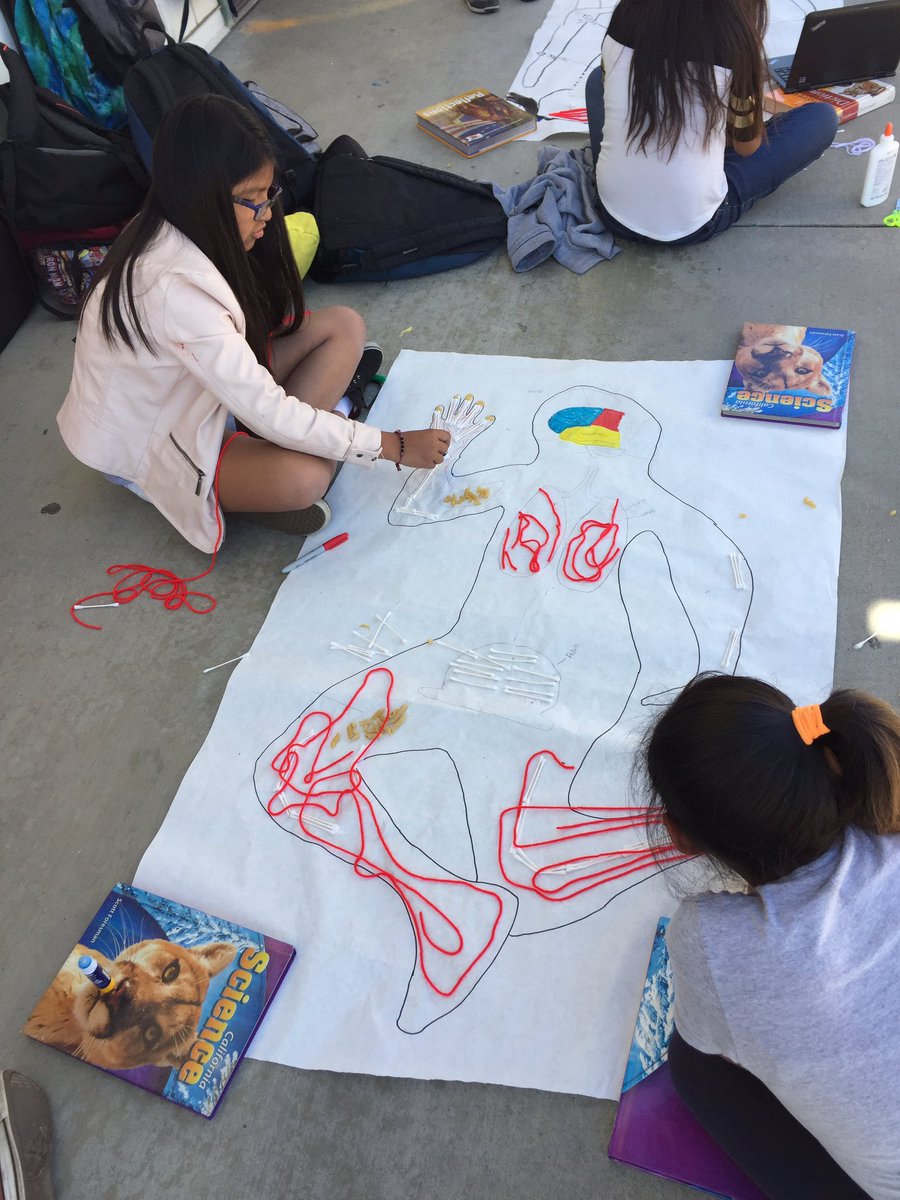 Erin Truxaw (@misstruxaw) on Twitter photo Getting ready for our bodies exhibit <a href="/WadeEducation/">Mr. Wade</a> <a href="/ADES_SMUSD/">Alvin Dunn School</a> Getting ready for our bodies exhibit <a href="/WadeEducation/">Mr. Wade</a> <a href="/ADES_SMUSD/">Alvin Dunn School</a>
