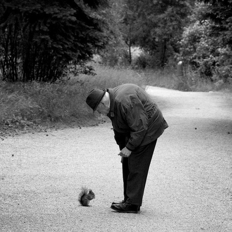 Grazy_Zen's tweet image. As time passes, all the things you're afraid of will come and they will go,...and you'll be allright😉