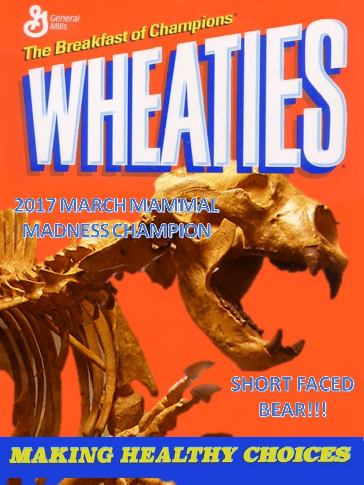 Mammals_Suck's tweet photo. SHORT-FACED BEAR DEFEATS HONEY BADGER! 
WINS MARCH MAMMAL MADNESS!!!!
#2017MMM https://t.co/RMk8EZvbjw