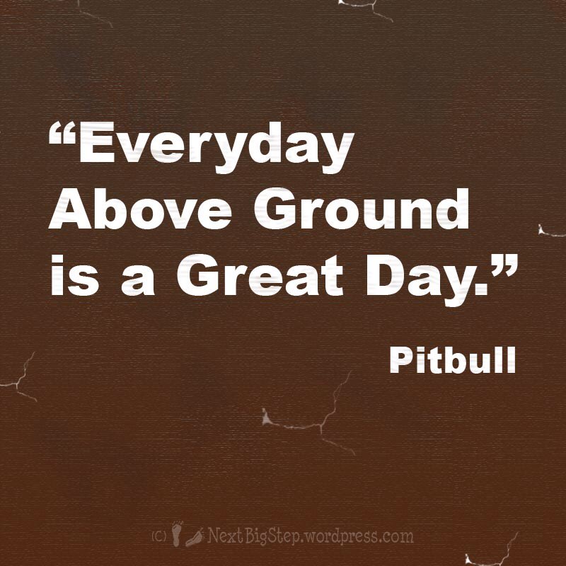 ExclusiveCal's tweet image. #Iconic