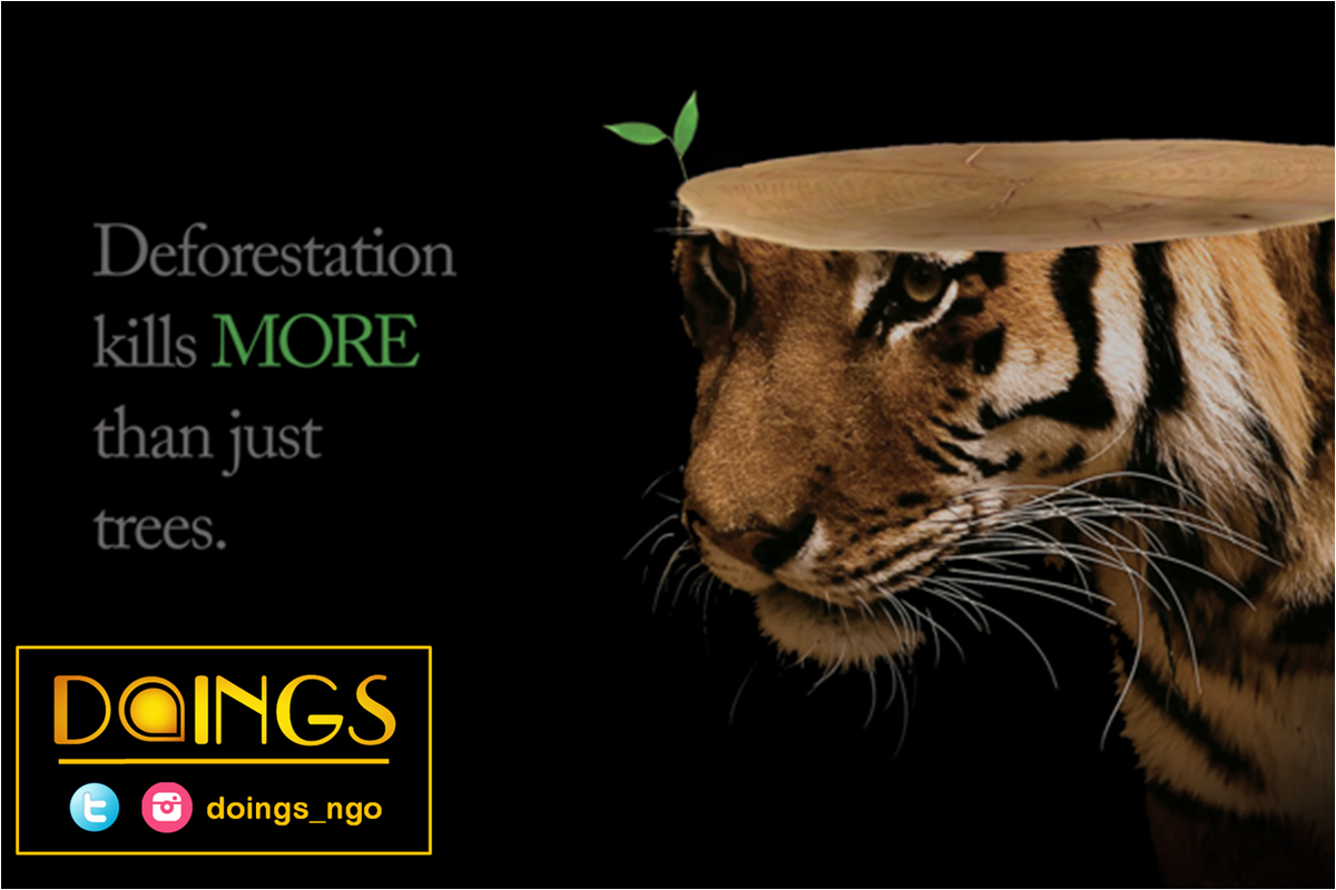 doings_ngo's tweet photo. deforestation kills more than just trees...
#deforestation #animallife #kills #savetree #saveanimal #savetiger #stopcuttingforest #nature https://t.co/2PSbNadW3N