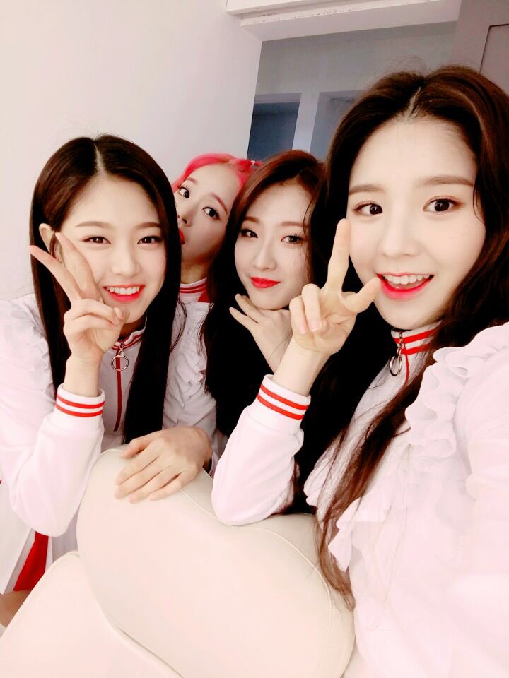 loonatheworld's tweet photo. [이달의소녀킼킼 #1] 
우연히 들어간 편의점에서 무슨일이 있었을까요❓
이달의 소녀 공식 페이스북에서 독점 공개합니다❗️

▶https://t.co/HOw9N3cXOF

#이달의소녀킼킼 #이달의소녀 #LOOΠΔ #희진 #현진 #하슬 #ViVi https://t.co/cliaJsL7wV