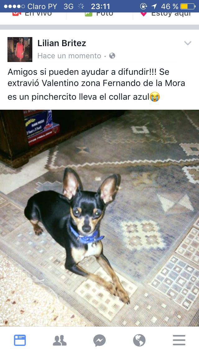 Lety Aquino tweet media