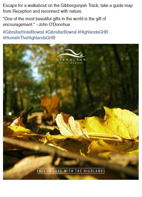 GibraltarHotel's tweet photo. Hmmm, a good time to take a hike ...

#GibraltarHotelBowral #GibraltarBowral #HighlandsGHB #HomeInTheHighlandsGHB https://t.co/hDPidYKPUB