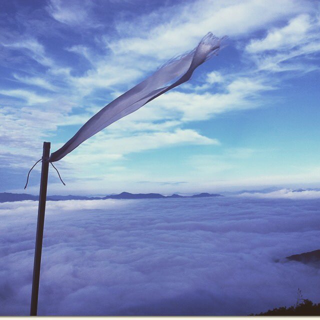 연은 순풍이 아니라 역풍에 가장 높이 난다.

-윈스턴 처칠-