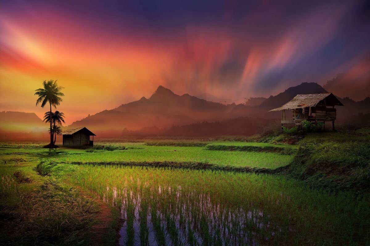 ramblingsloa's tweet photo. When you arise in the morning
Think of what a precious privilege it is to be alive
To breathe, to think, to enjoy, to love

Marcus Aurelius https://t.co/buwQu8LKFP