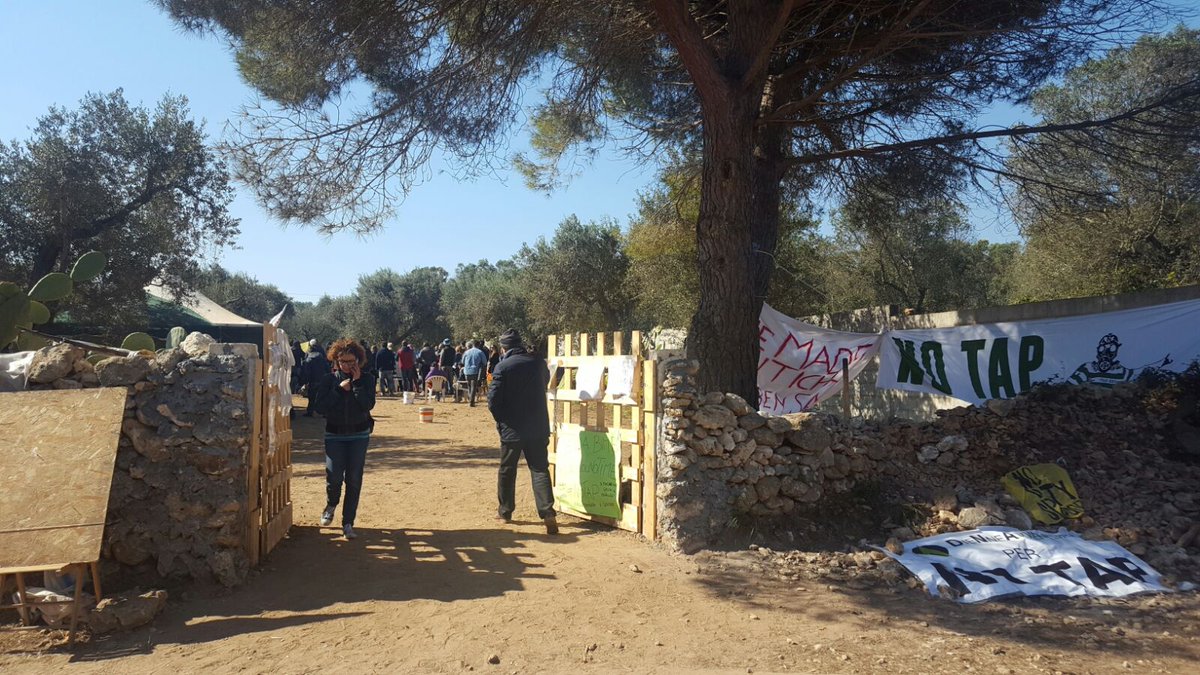 TgrRaiPuglia's tweet image. Sospesi fino a lunedì lavori espianto ulivi nel cantiere #Tap a #Melendugno. Continua il presidio dei manifestanti #NoTap