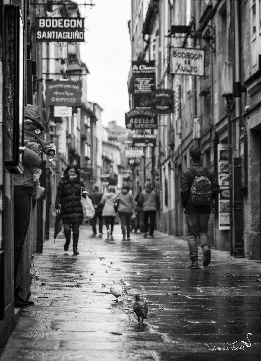 Galicia Mola :) tweet media