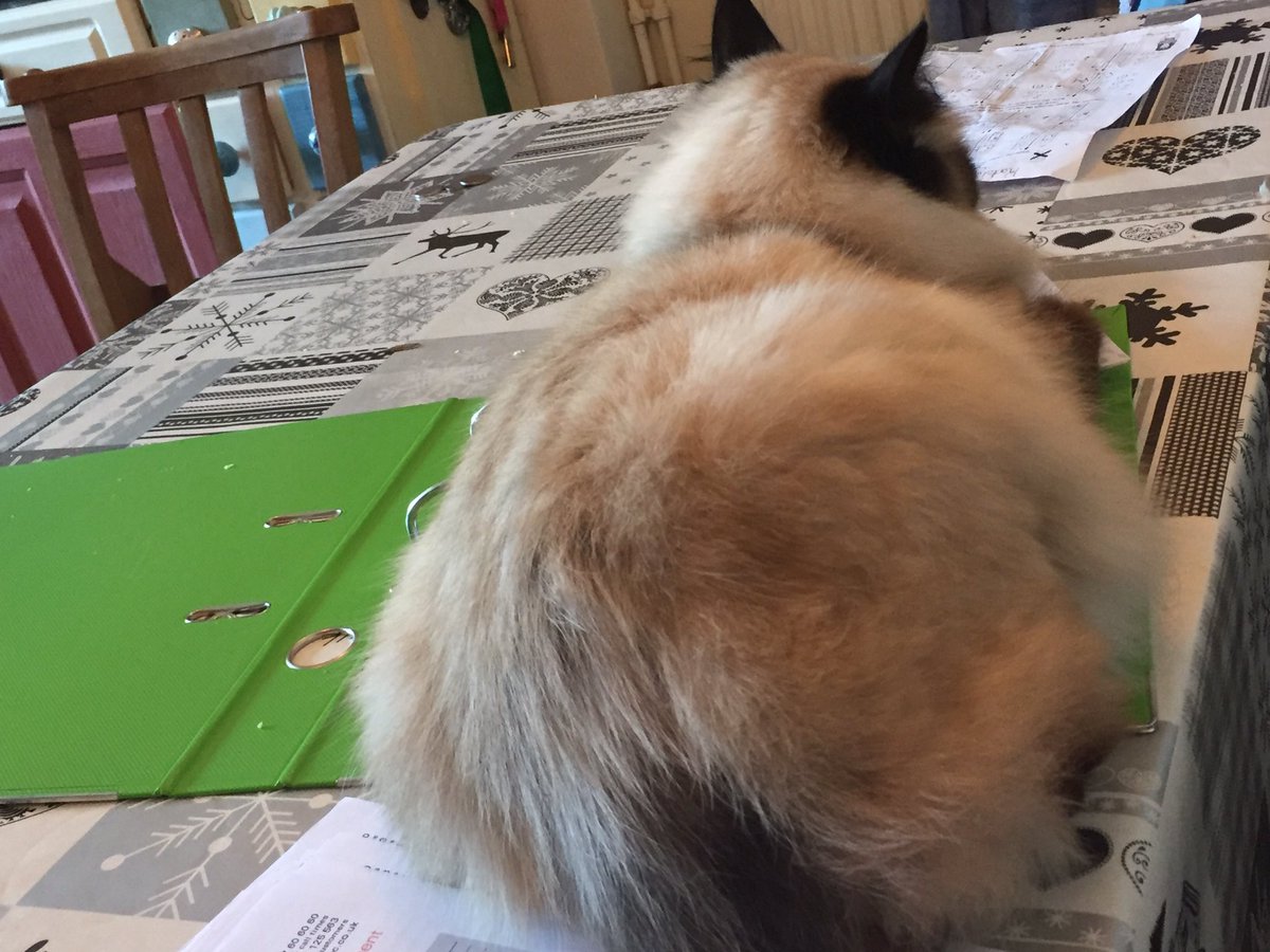 MaxineAnneSmith's tweet image. @NBSemployees @NBSEastofEng 🌟👍Proud to be volunteering today for 1st NW Scouts...day of book-keeping for me! #felinehelp!