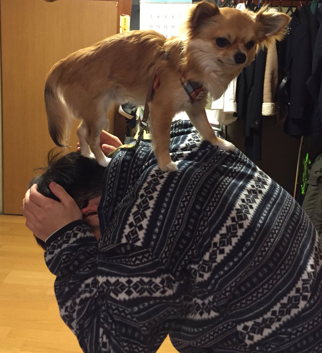makuramoto4343's tweet photo. 理想←( ´∵｀)→現実 https://t.co/Wnn3W0vjUX