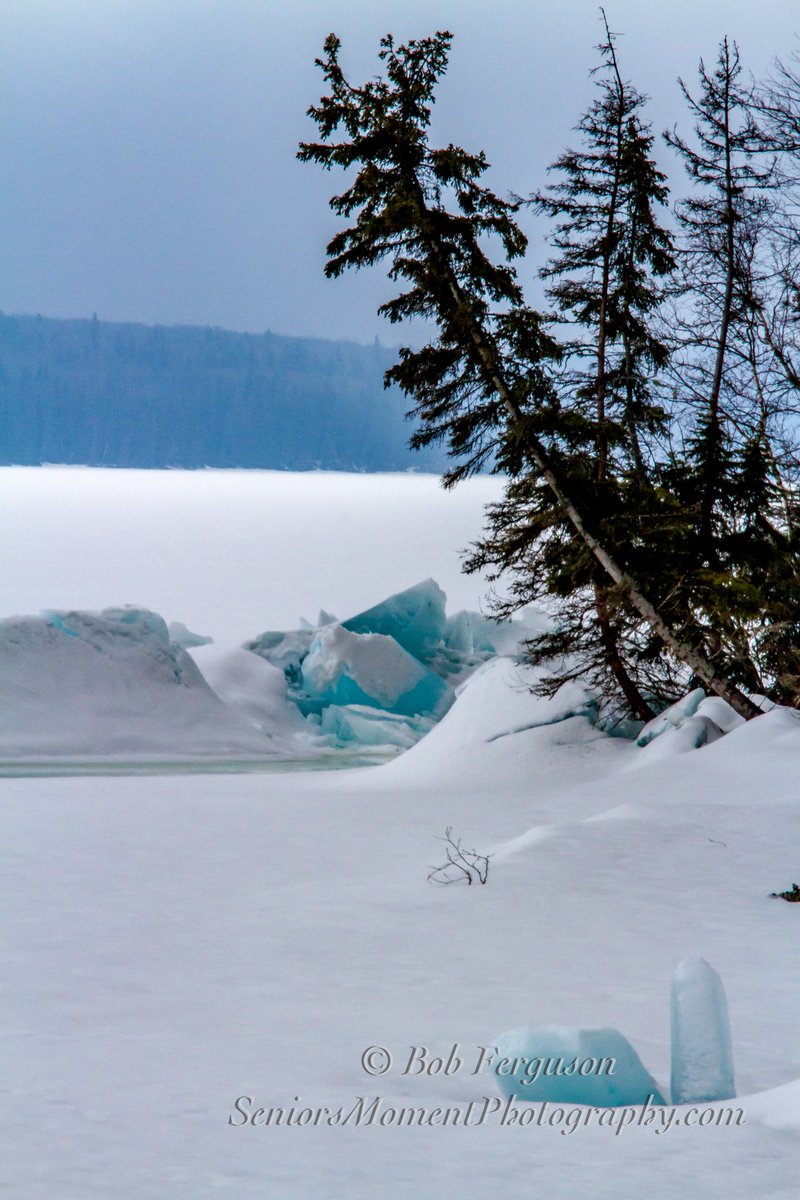 senior1moment's tweet photo. @PQuinlanGlobal @Saskatchewan @ParksCanada_SK @WaskesiuFound #icepush #waskesiu https://t.co/I6d0q8xdCr
