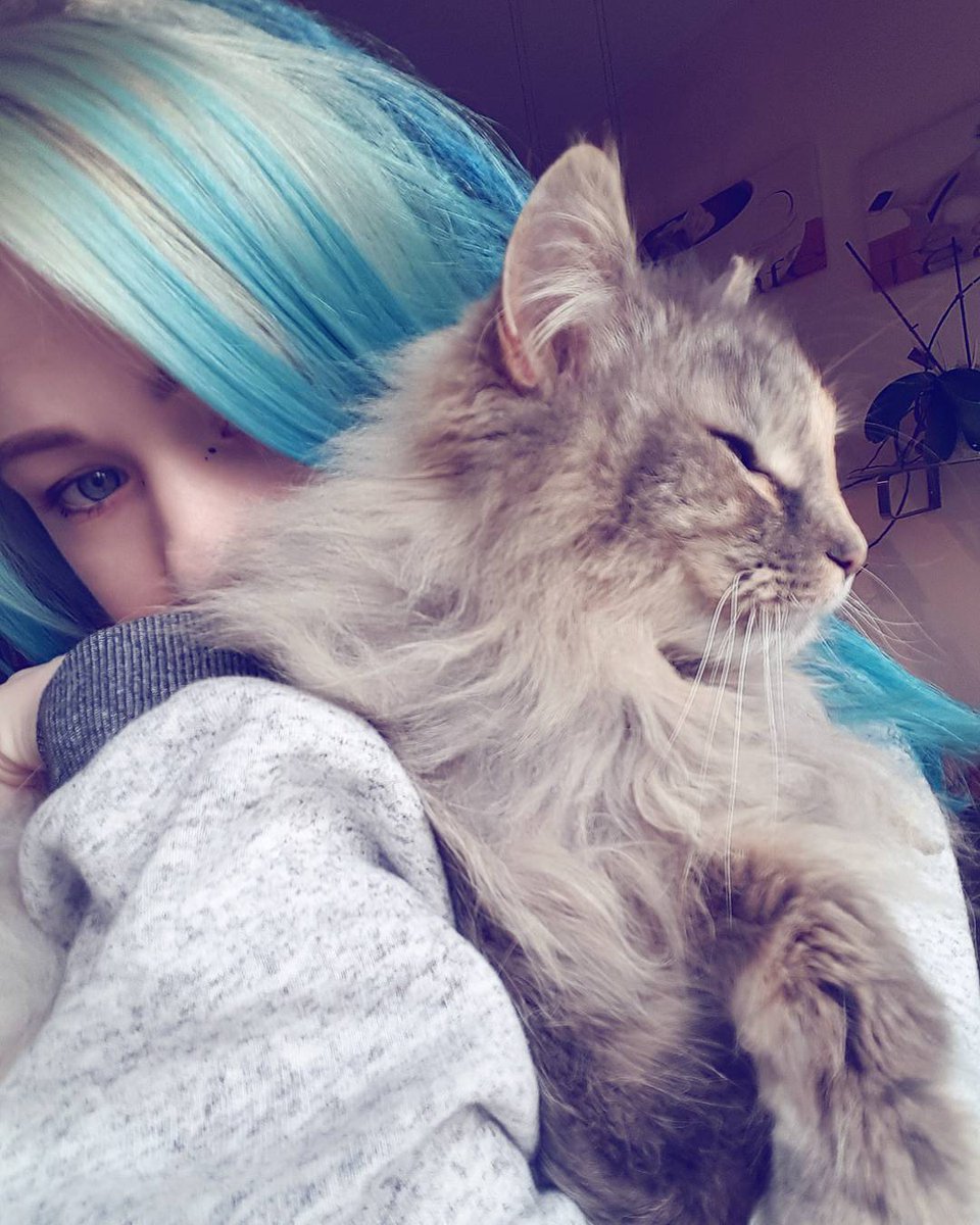 AlexiaCastaeda5's tweet photo. ❤️❤️ My precious ❤️❤️
#scene #scenegirl #cat #catlove #precious #bluehair #dreads #emo #emogirl #happy #mylove #fluffy #kitten #kawaii #cute https://t.co/WQoiv5cK95