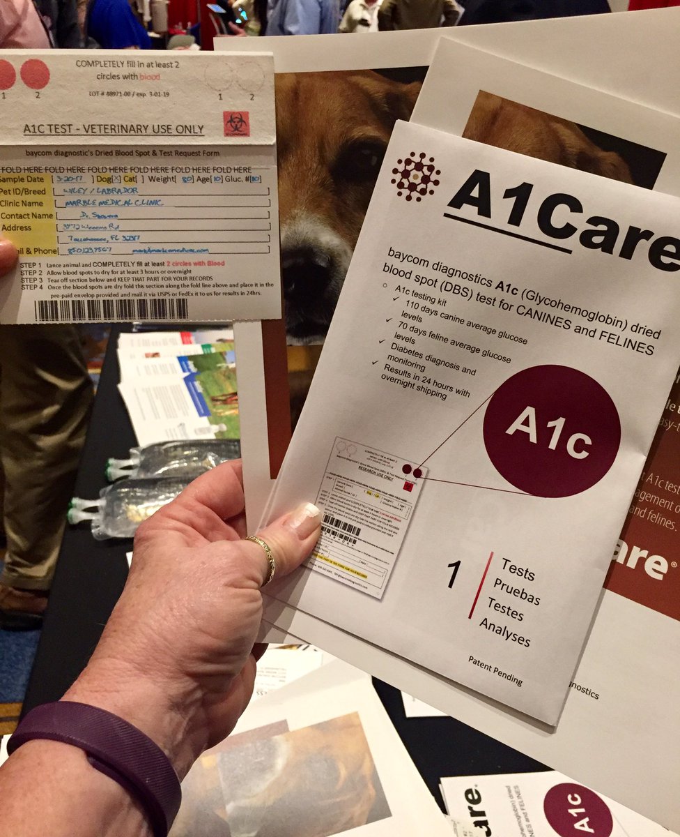 vetrepsueb's tweet photo. A1Care for your pet! #Vedco #HenryScheinVet diagnostic for diabetes🐾🐾 https://t.co/PcHx6Bfo66