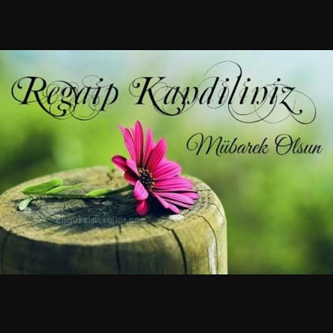 Ebru Sulukahya (@askbocugu_ebru) on Twitter photo 