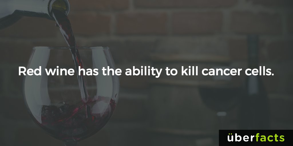 UberFacts's tweet photo. Good to know. https://t.co/gOSRWwWjxJ