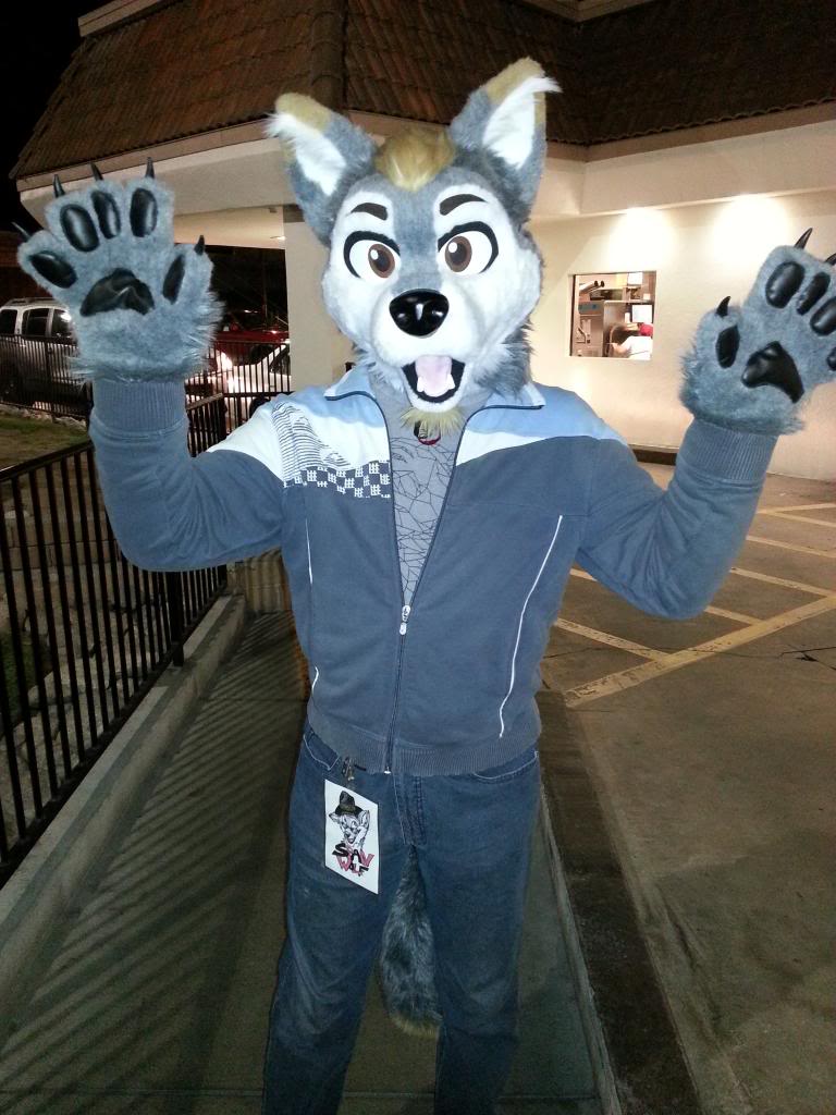 Span_Wolf tweet media