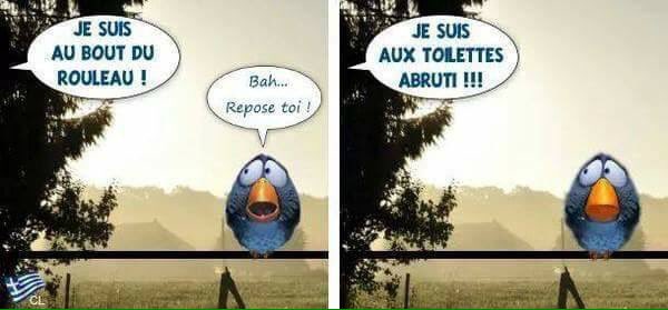PAPY 👴 COULE tweet media